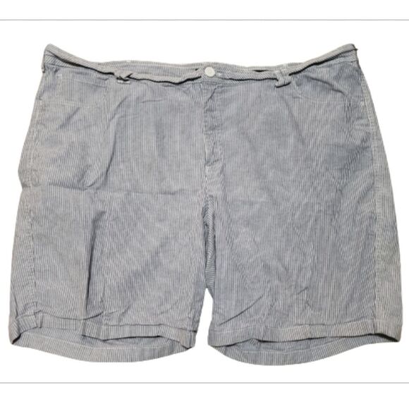 Plus Size Vertical Striped Shorts Sz 26 - Picture 2 of 5